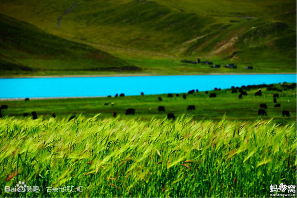 现在的古装剧都在哪里取景的,古装剧拍摄旅游地