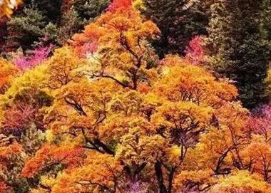 霸王级美景来袭，都在国内不去太可惜啦！