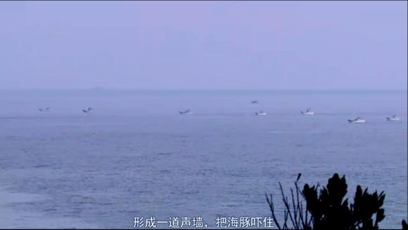 日本拒绝入境经历,日本海豚湾纪录片完整版