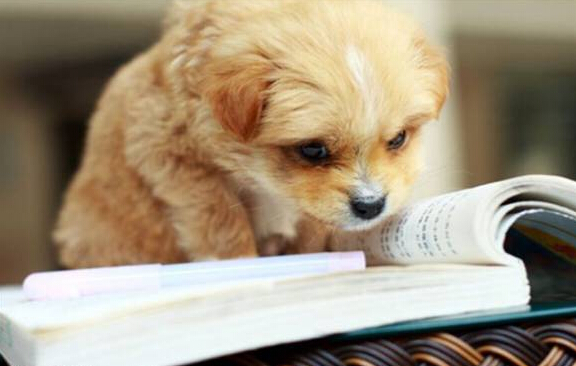 挑战初级会计,极限挑战做完数学题