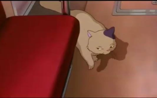 动漫卡通猫的名字,可爱动漫猫图片