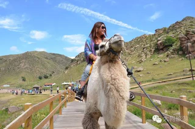 辉腾锡勒黄花沟草原旅游区花海,黄花沟窝阔台草原