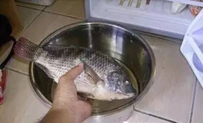 上海今夏高温已达42天,上海本周再现35℃高温天