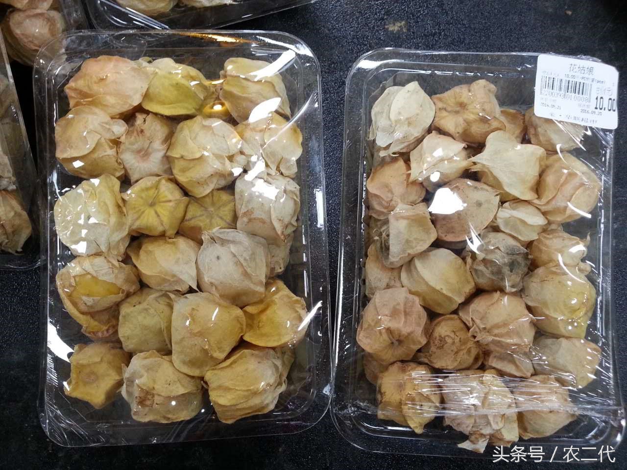 农村路边随便捡的灯笼果能吃吗,广东的小灯笼果