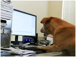 成都炜岸城图,成都炜岸城叠拼别墅