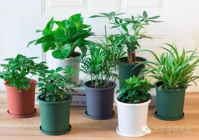 租房提升家居幸福感的小物件,租房实用的小物