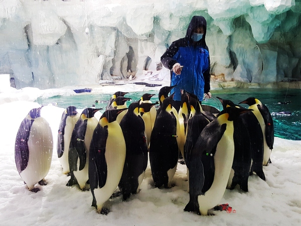 珠海长隆让人尖叫的海洋王国,珠海长隆海洋王国之绚丽多彩