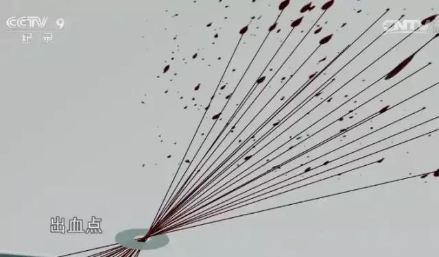 比白银大案还大的案件,白银案的真实事件电影