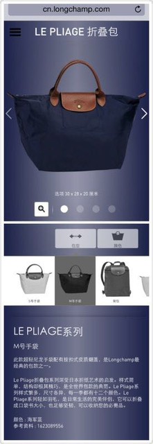 longchamp珑骧饺子包,longchamp饺子包爆款