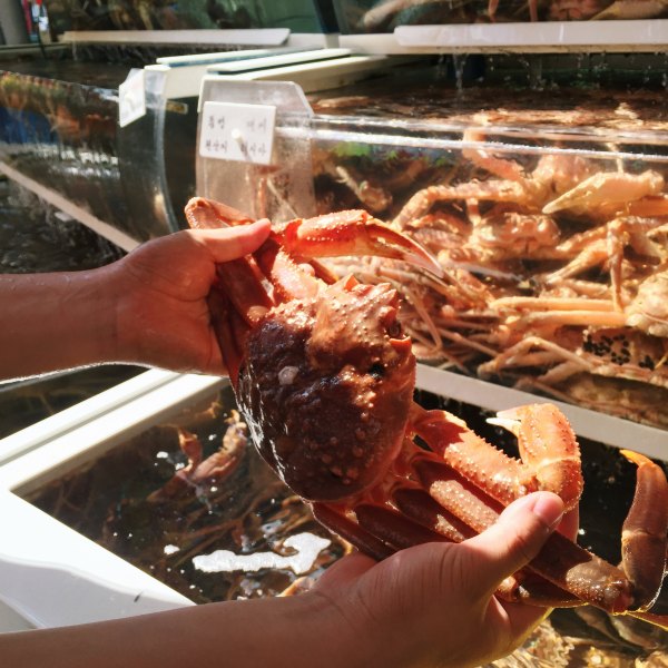 韩国美食集合大全,最新韩国美食大全