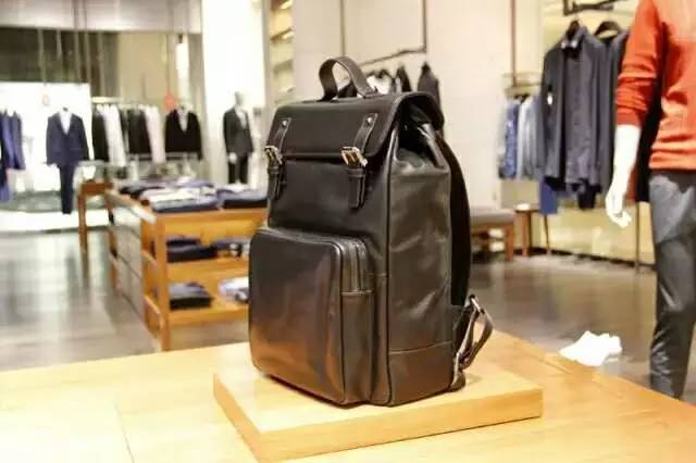 高颜值轻奢双肩包电脑背包 (时尚电脑双肩包)