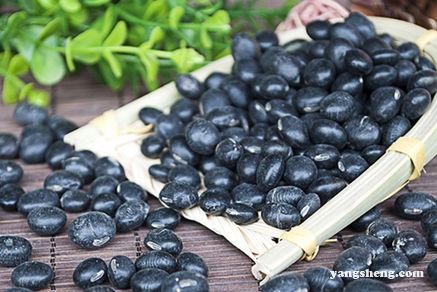 产后白发通过食疗能变黑吗,30多岁白发掉发怎么食疗