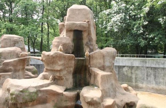 湘潭和平公园动物园星期天开放吗,湘潭市动物园的近况