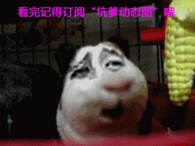 怎么给电话号码标记诈骗电话,怎么把骚扰电话标记诈骗电话