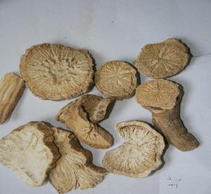 护肝抗病毒中草药,抗病毒的中药对肝脏有什么作用