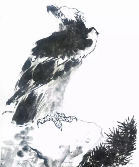 国画之鹰作品大全大图,国画大写意鹰图片大全