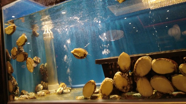 鼎鲜渔掌门养生火锅赵公口店,鼎鲜渔掌门养生火锅团购