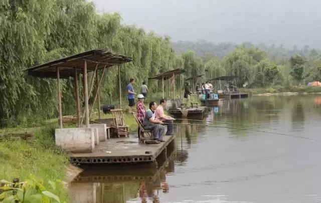 农家乐推荐周边特色农家乐平武,重庆主城周边农村农家乐前十名