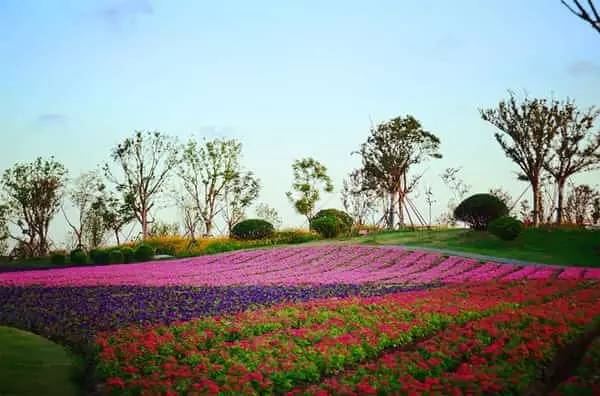 六十多家旅游景点门票半价,这8家景区免费或有优惠