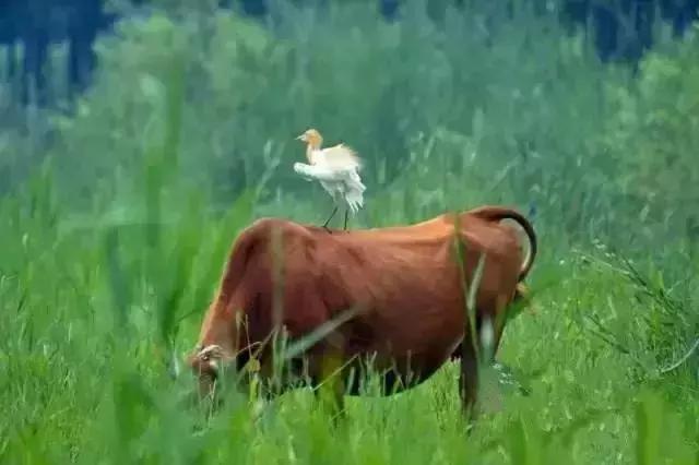 济南风景优美的两个地方,济南的美景向大家推荐一下