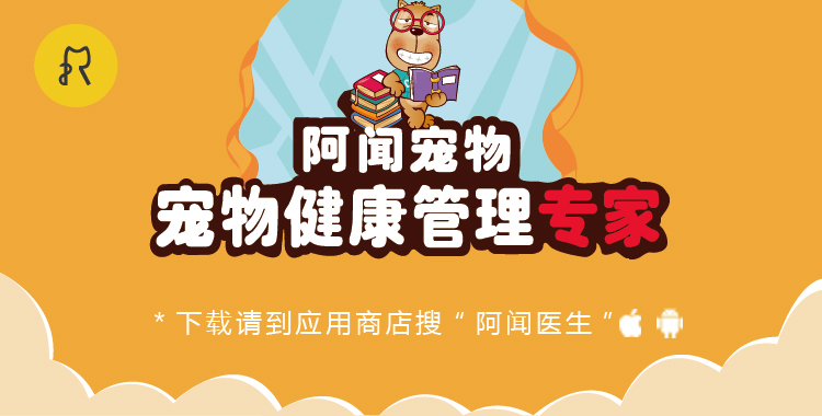 杜宾是去医院剪耳断尾吗,家养杜宾可以不剪耳和断尾吗