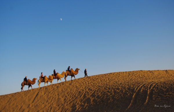 成都自驾额济纳旗攻略,额济纳旗深度游旅行攻略