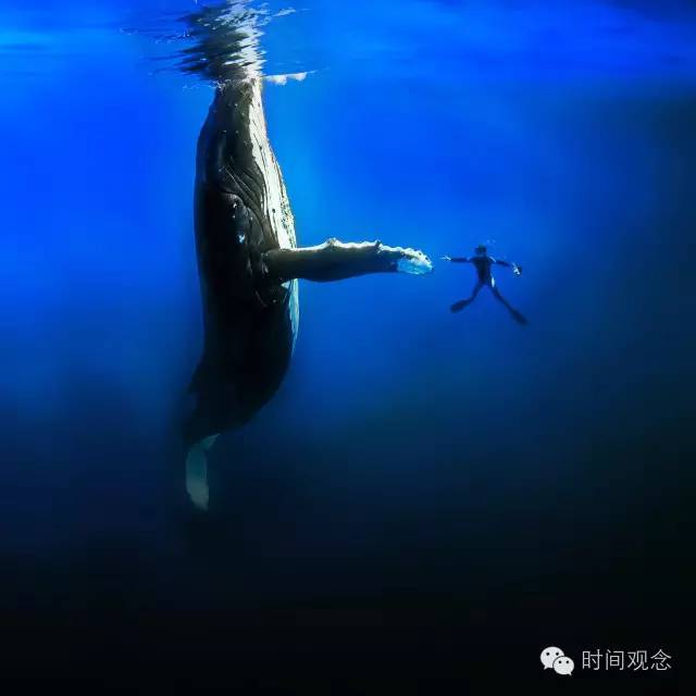 时间观念要事第一,时间观念的重要性的语录