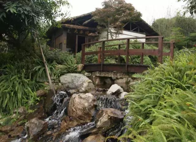 农家乐推荐周边特色农家乐平武,重庆主城周边农村农家乐前十名