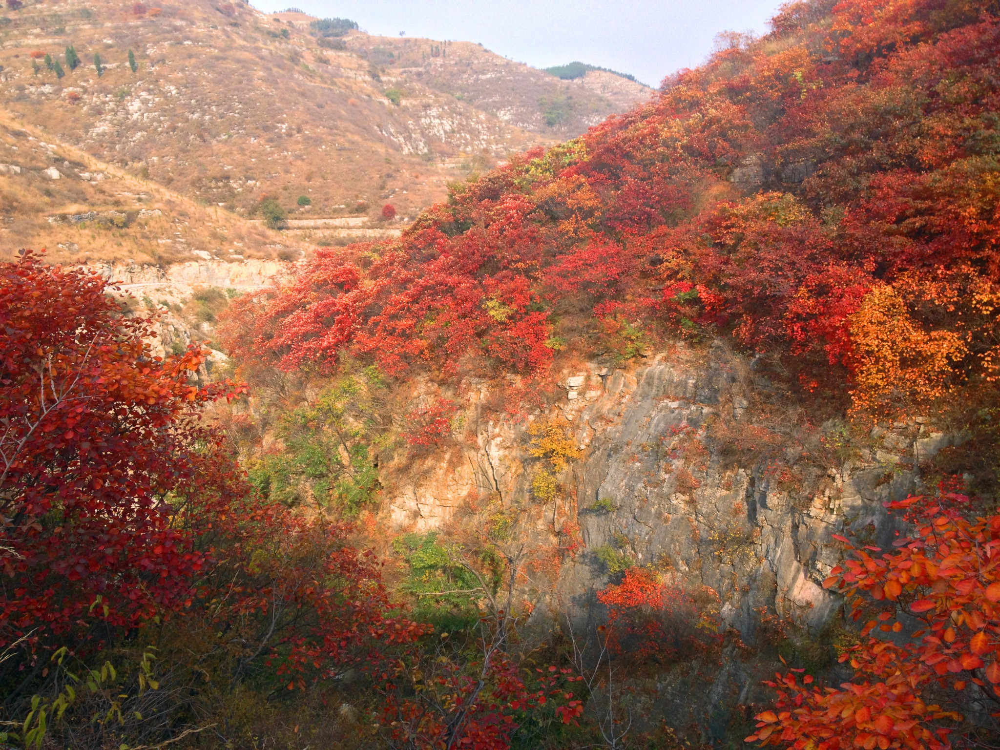 秋风起兮宜进补,秋风起感冒
