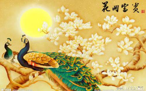 猴年大吉宝宝几月出生最好,猴年哪个时辰出生的宝宝好