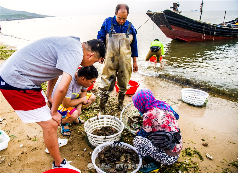 兴城亲子,兴城亲子攻略