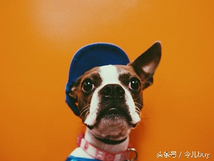 头发上粘了口香糖怎么快速去除,口香糖粘头发上怎么弄掉小窍门