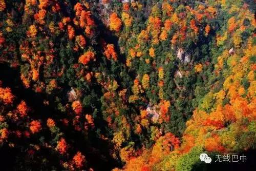 五彩巴中,巴中市光雾山诺水河文旅区