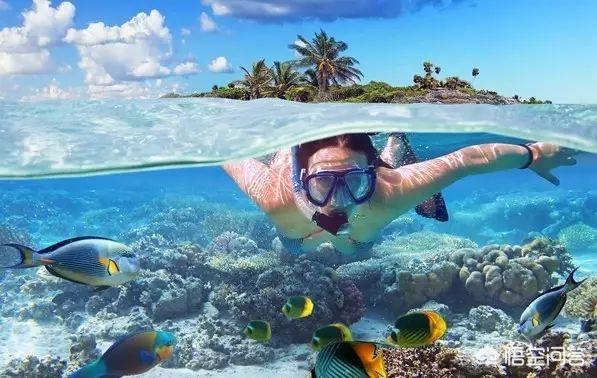 芽庄在越南地图什么位置,芽庄沿海城市