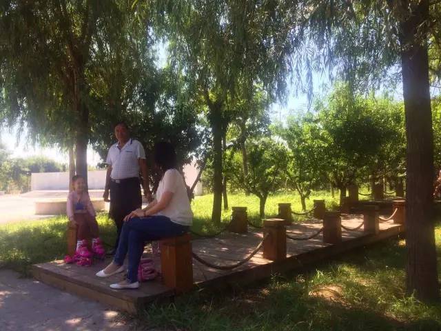 德州动植物园摄影,德州植物园景点