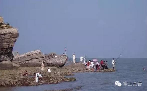 金普新区及周边海岛游史上最全攻略！