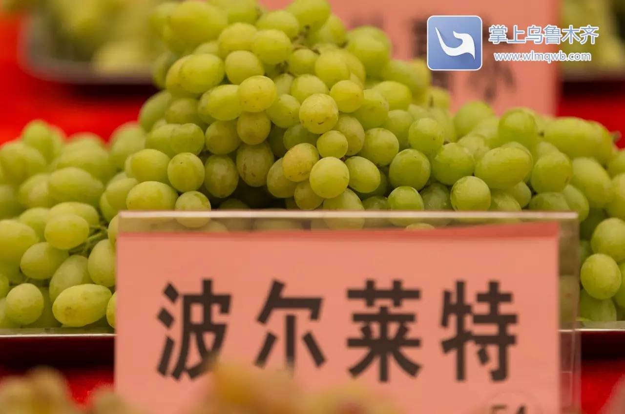 自带花香味的葡萄你吃过吗,吃葡萄不吐葡萄皮的葡萄怎么挑