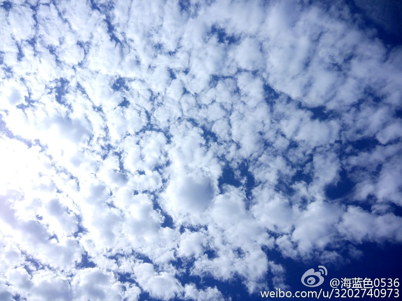 天津蓝眼泪视频,天津蓝眼泪最新视频