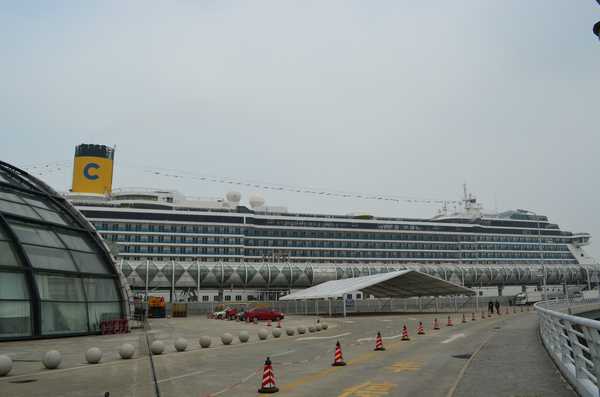 邮轮停靠济州岛游玩攻略,邮轮济州岛一日游