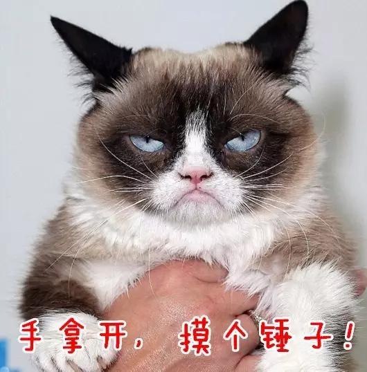 四川人为什么老是说锤子,四川人为什么经常说锤子