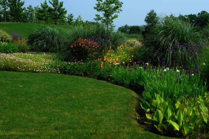 辰山植物园旱溪花境,上海辰山植物园珍稀植物