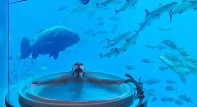 阿联酋可以落地签吗,阿联酋去哪里可以落地签