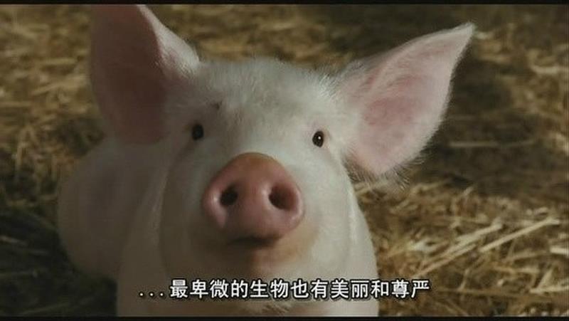 拿着iPhone7穿着世界首富的衣服,你就走上人生巅峰啦?