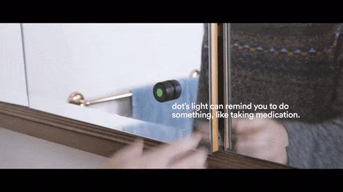 它身材娇小，却是一位很棒的私人助理｜新品抢先看