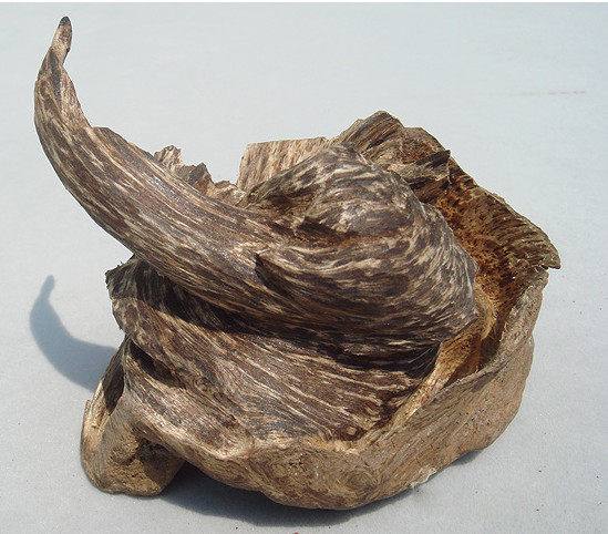 沉香线香术语与品评,关于沉香的100种术语