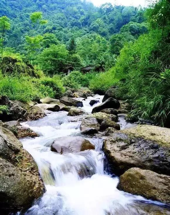 成都附近适合秋游的地方,成都秋游好去处