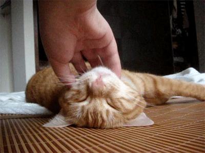 微信这些功能你真的知道吗,这几天微信的新功能