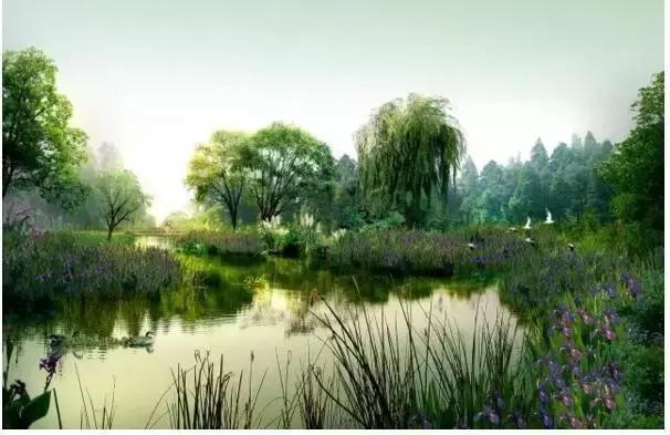 成都新增湿地公园,成都天府新区龙泉公园规划