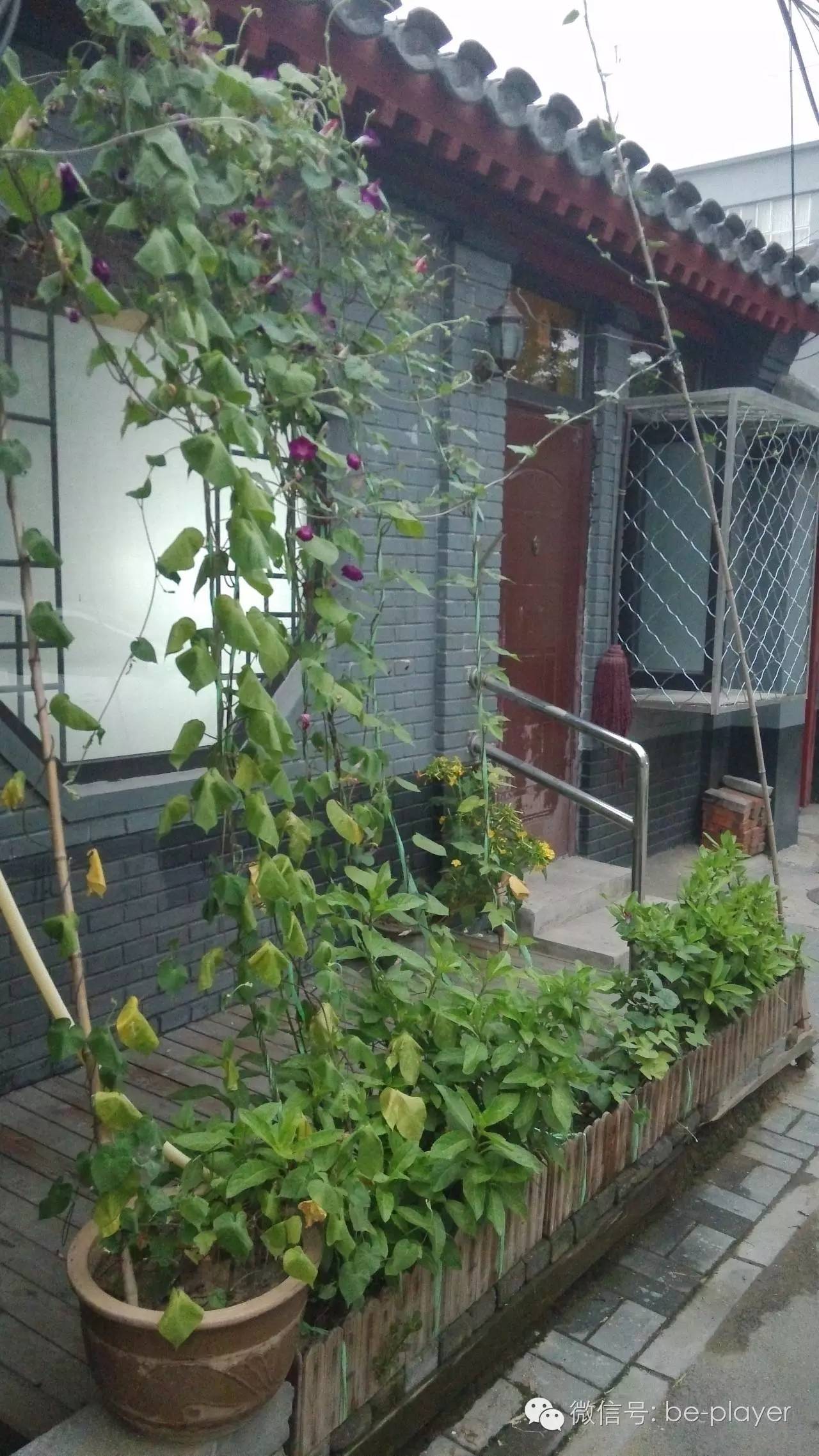 讨厌快阅读的你,可以去“摘刺”转转