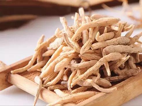 千年参和三伏灸的区别,正宗百年野山参